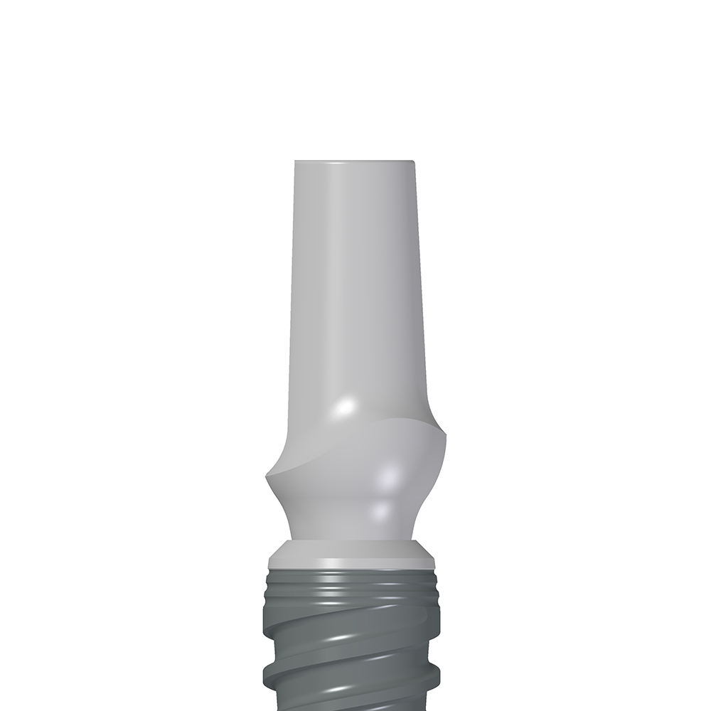 BT Safe Bone KR - immagine 6