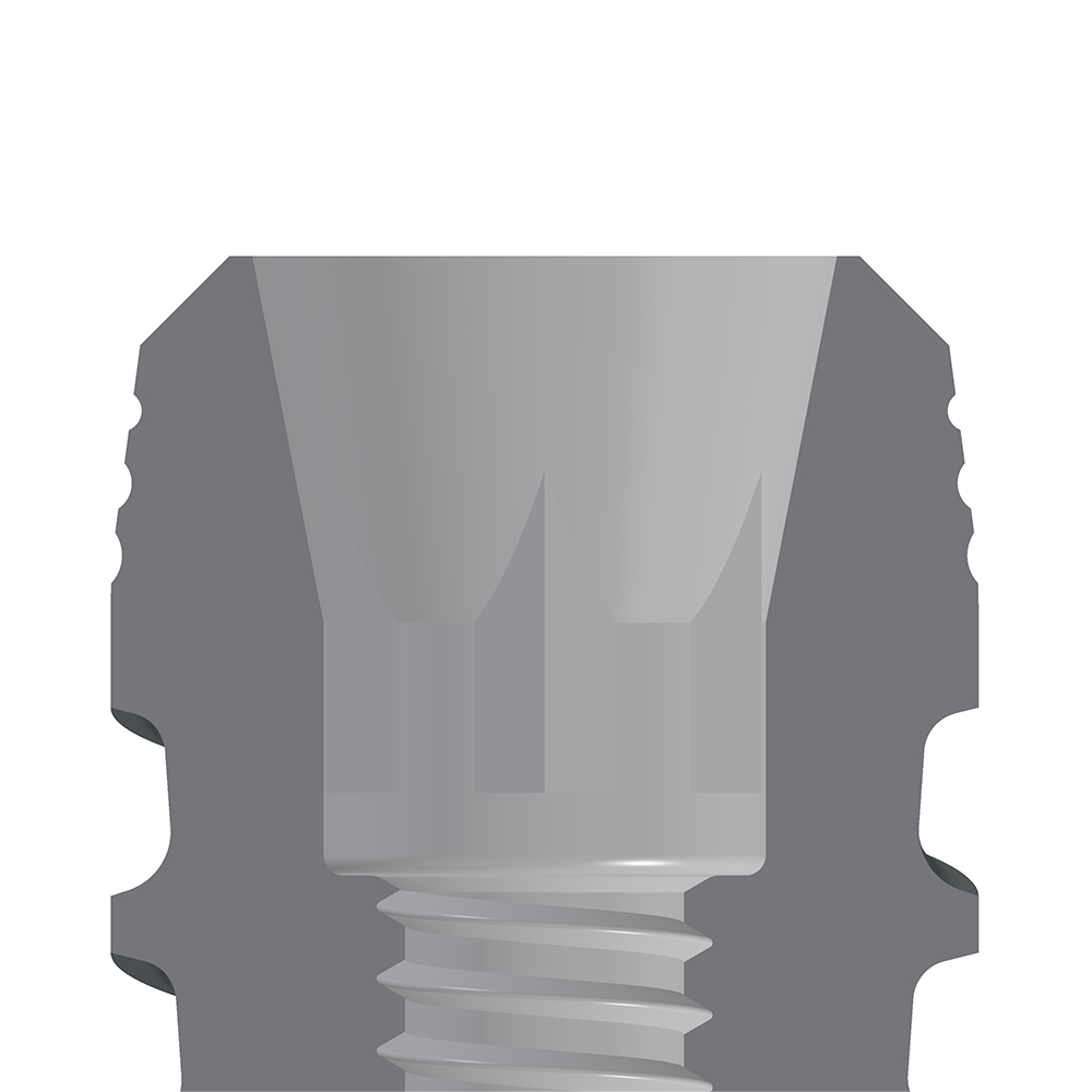 BT Safe Bone KR - immagine 15