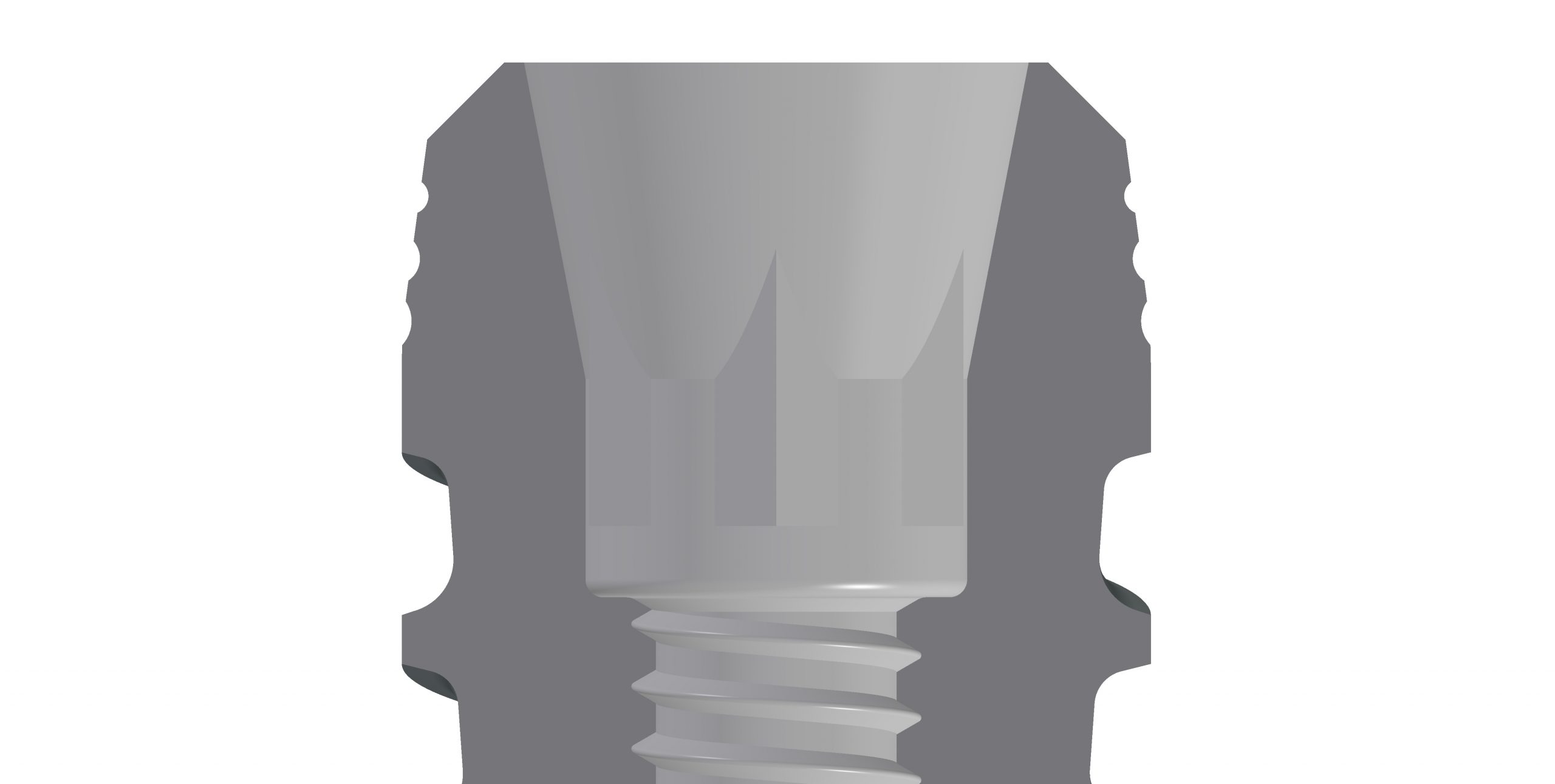 BT Safe Bone KR - immagine 13