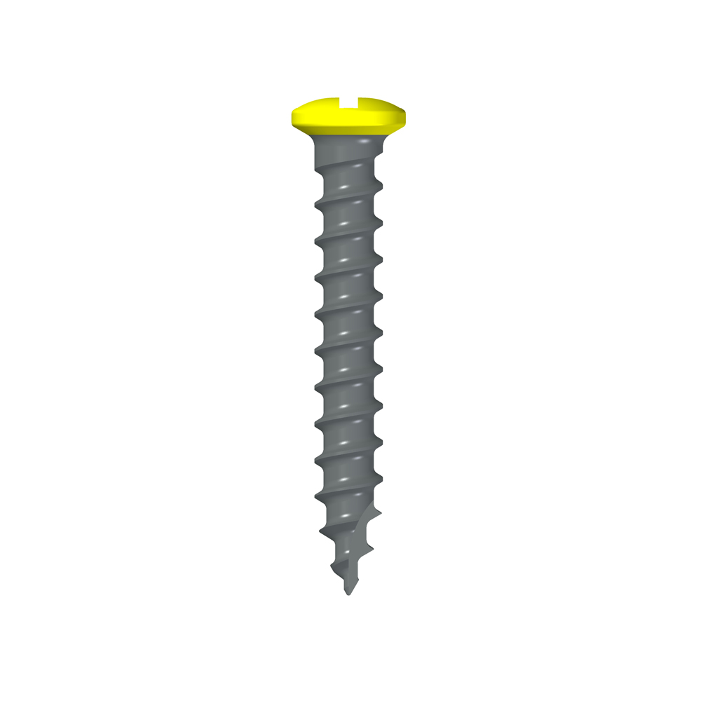 BT Screw Etched