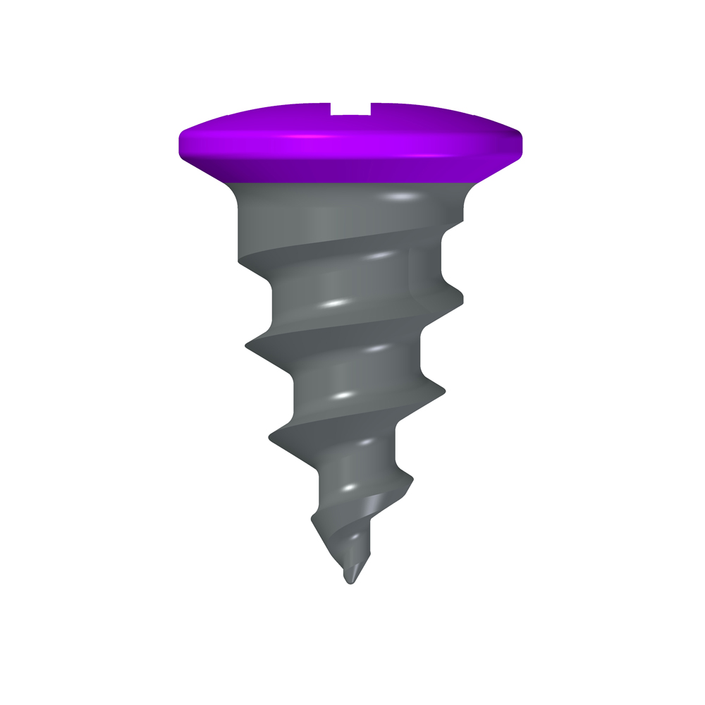 BT Screw Etched