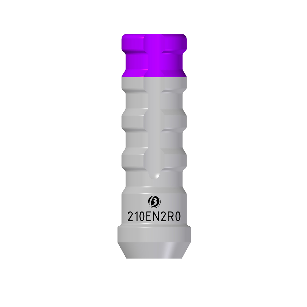 Moncone Provvisorio EN