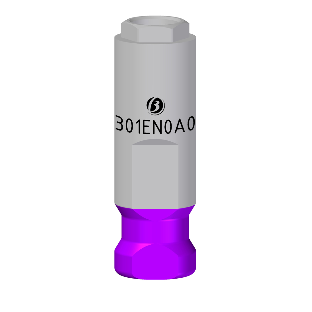 Analogo EN - Image 2