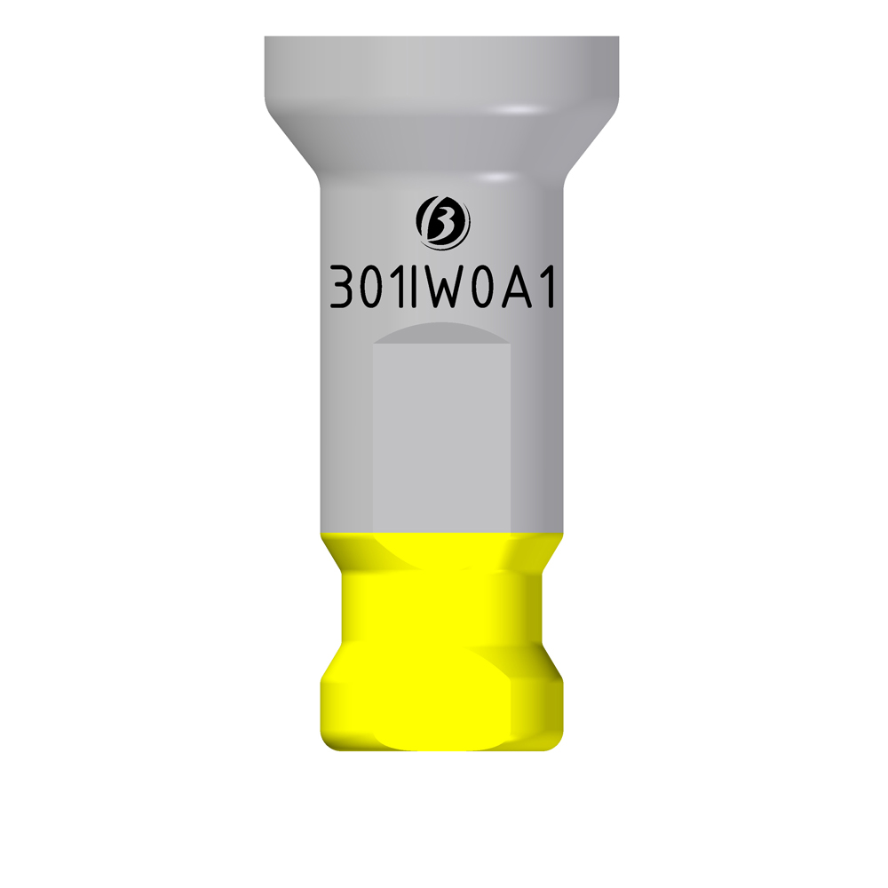 Analogo IW