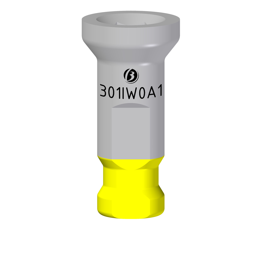 Analogo IW - Image 2