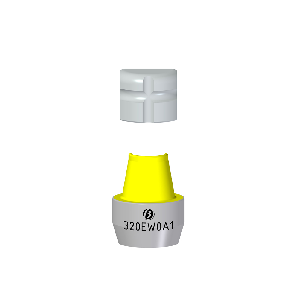 Transfer Cappetta EW - Image 2
