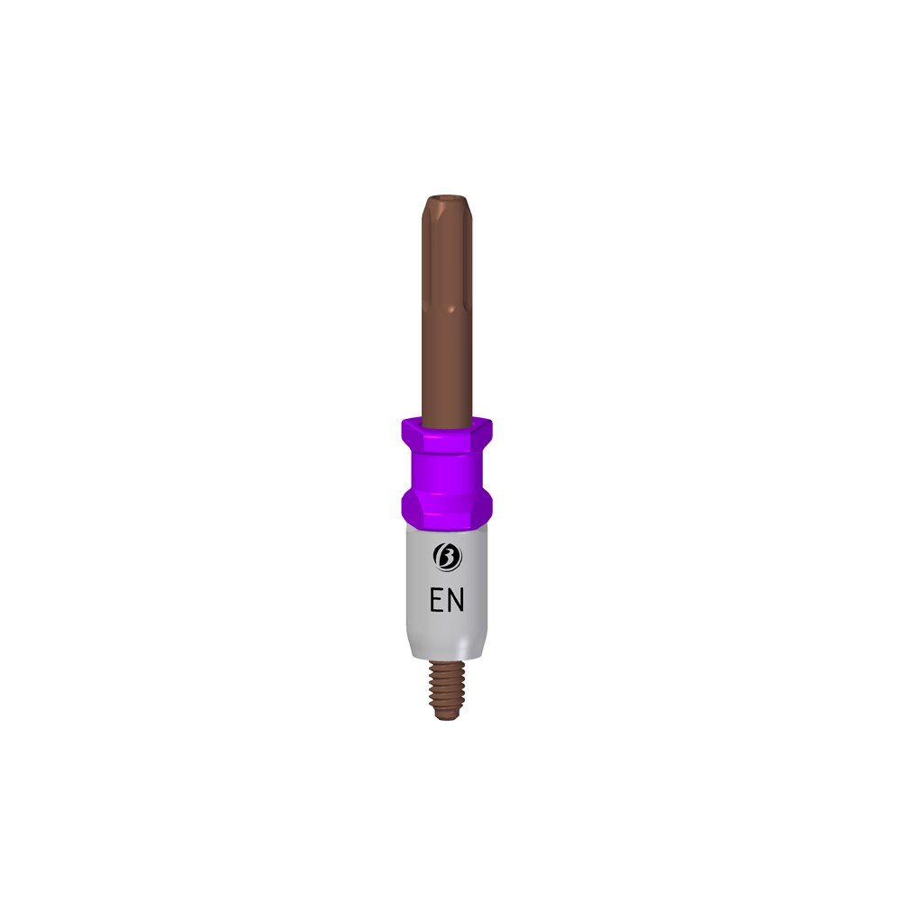Transfer Propick-Up EN - Image 2