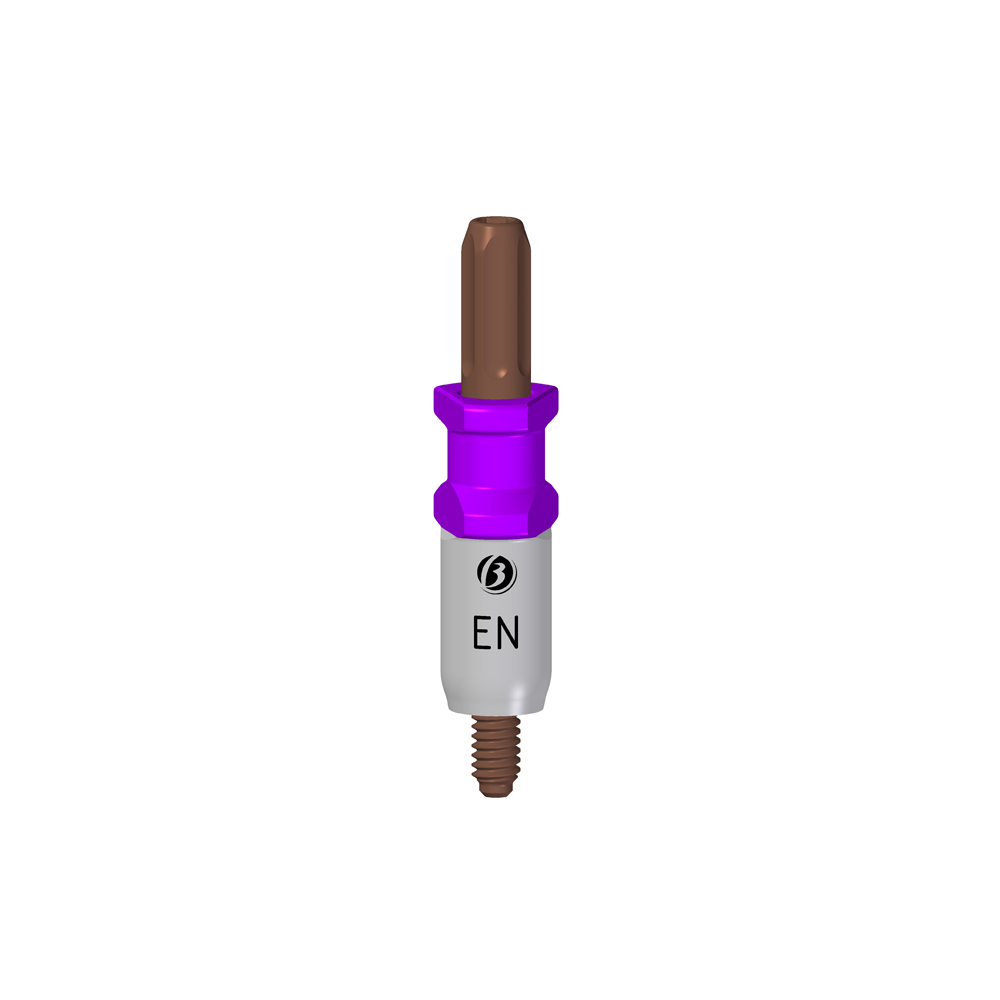 Transfer Propick-Up EN - Image 2