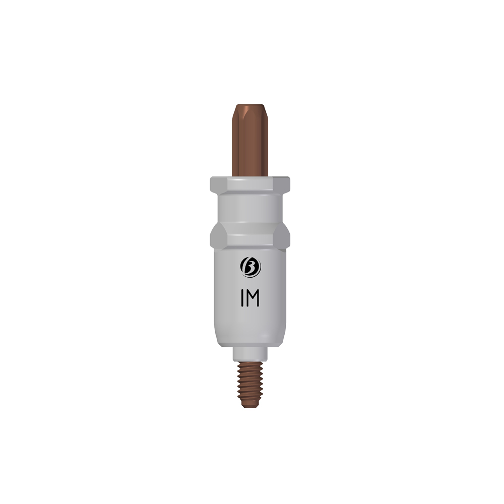 Transfer Propick-Up IM