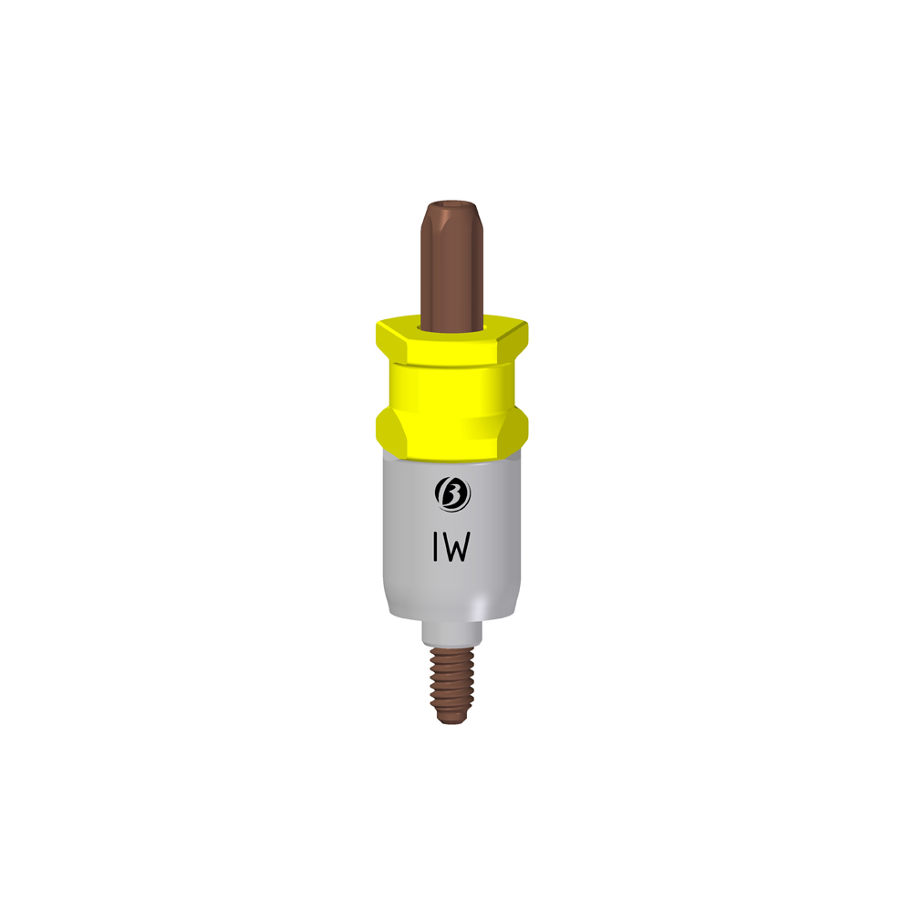 Transfer Propick-Up IW - Image 2