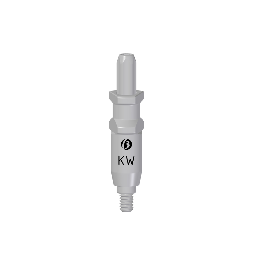 Transfer Propick-Up KW - Image 2