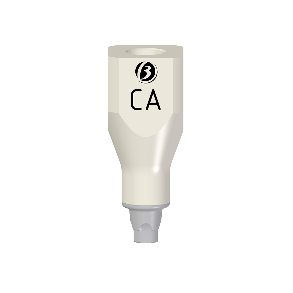 Scan Abutment Laboratorio CA - Image 2