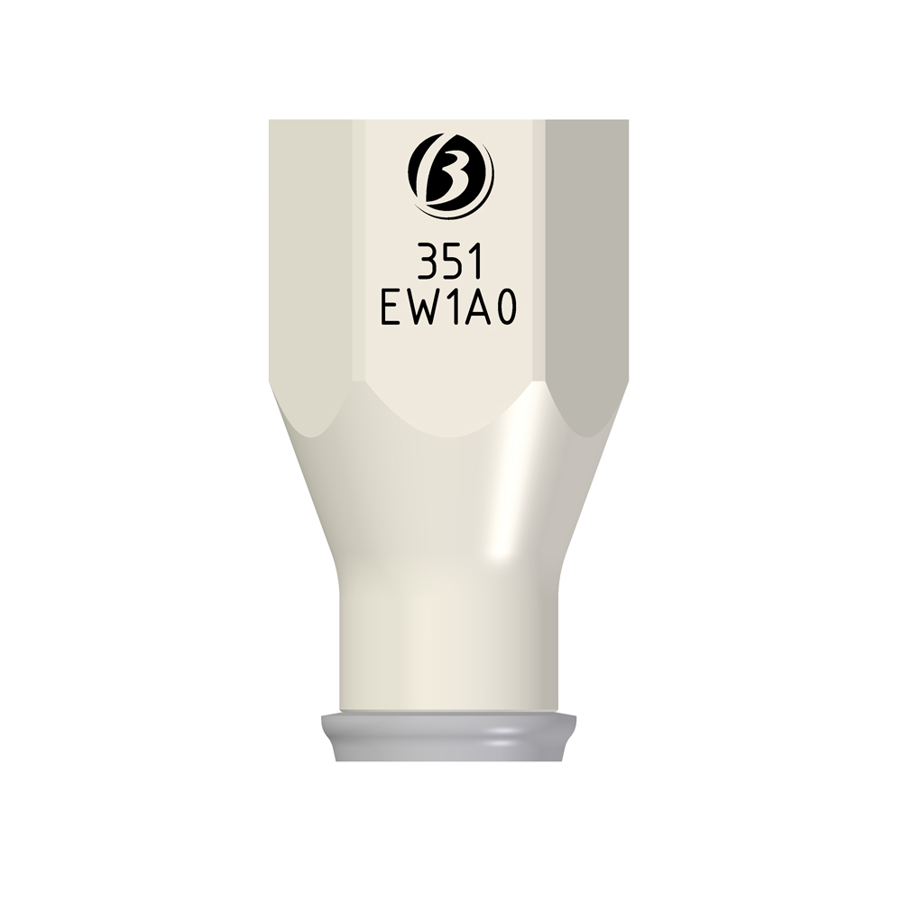Scan Abutment Laboratorio EW