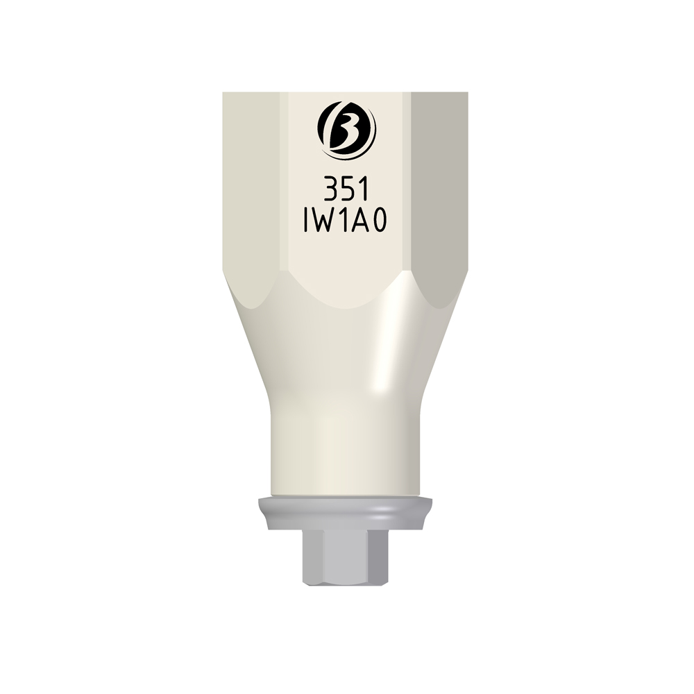 Scan Abutment Laboratorio IW