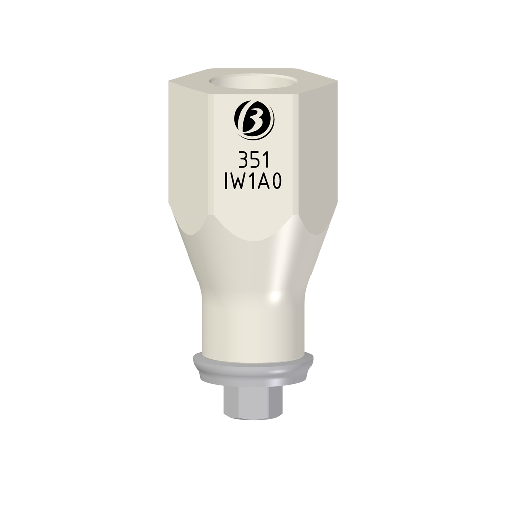 Scan Abutment Laboratorio IW - Image 2