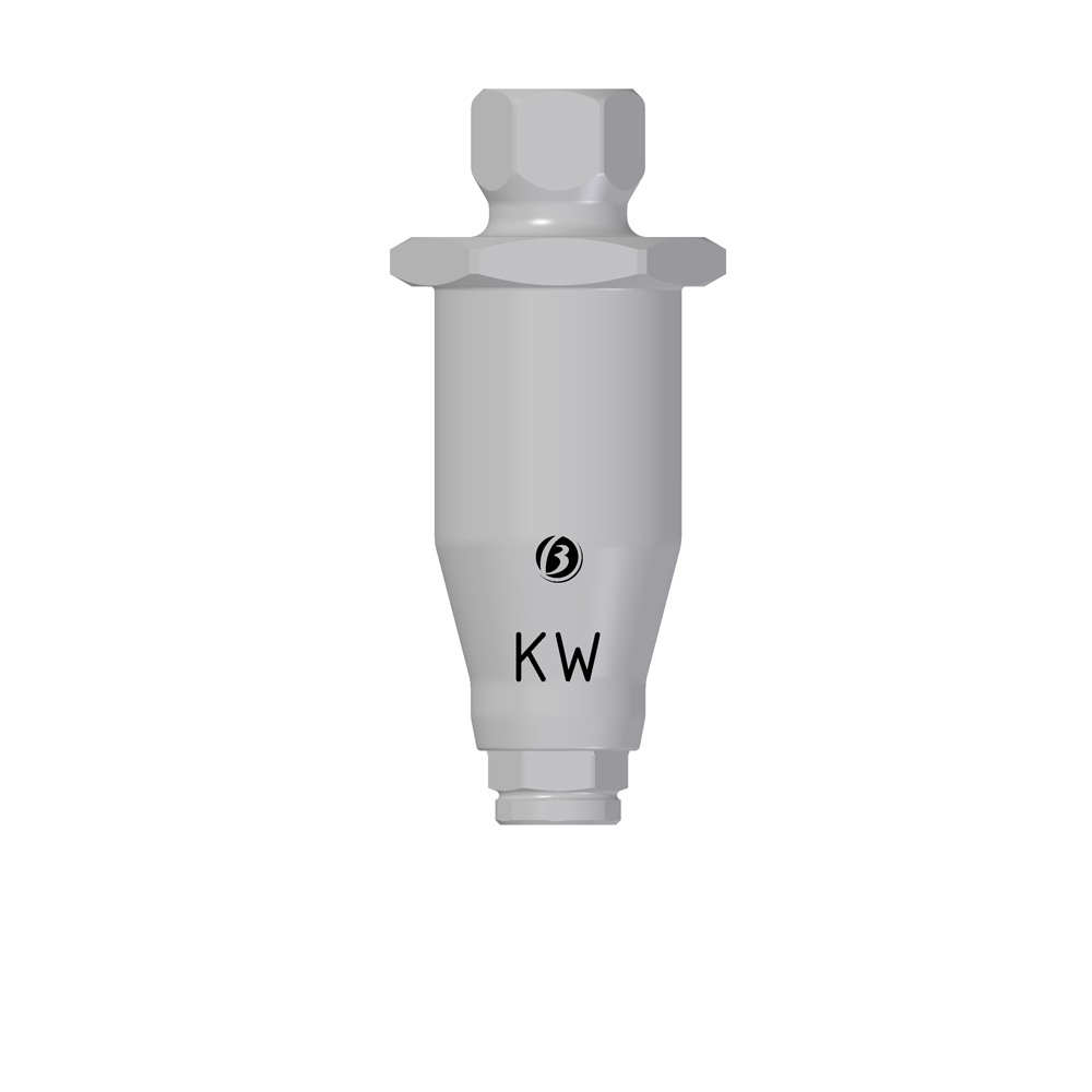 Disp Montaggio 3D KW