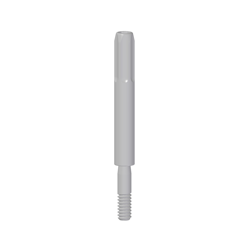 Vite Transfer Pick-Up - Image 2