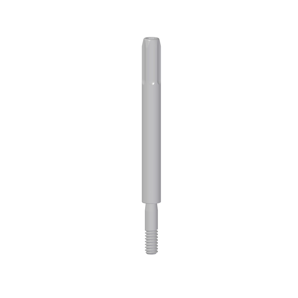 Vite Transfer Pick-Up - Image 3