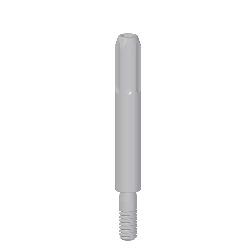 Vite Transfer Pick-Up - Image 2