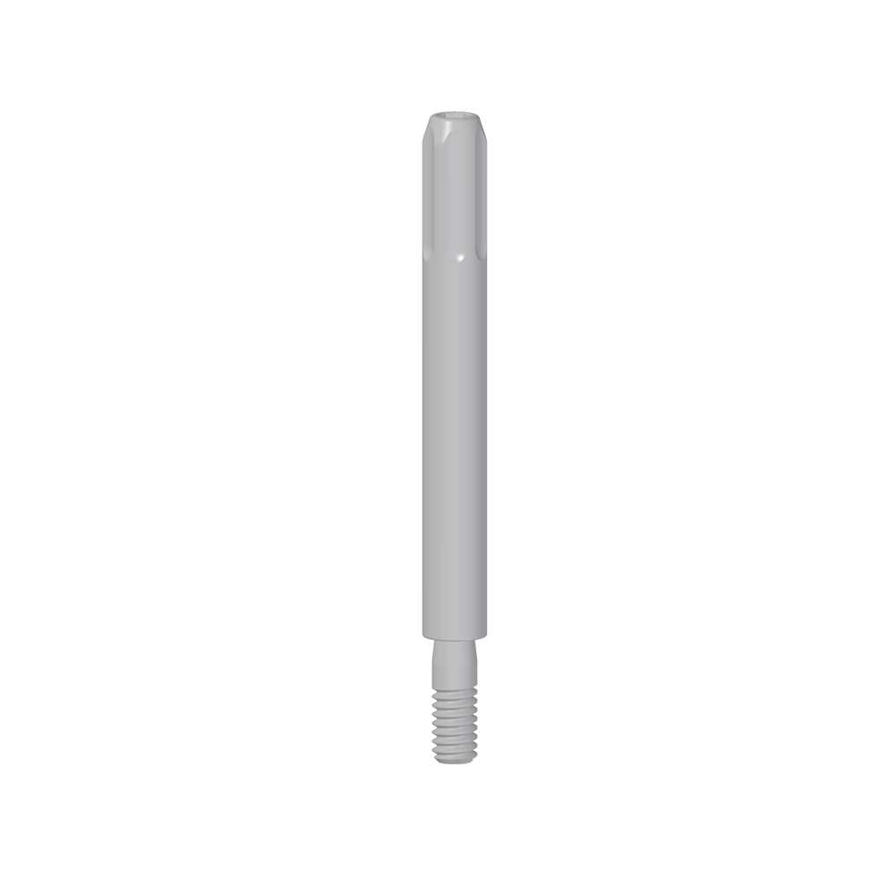 Vite Transfer Pick-Up - Image 2
