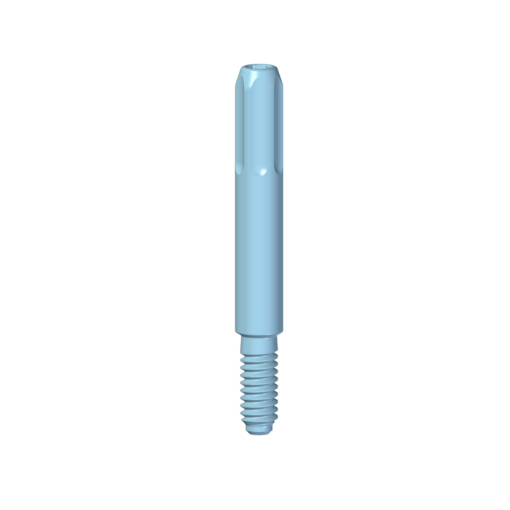 Vite Transfer Pick-Up - Image 2