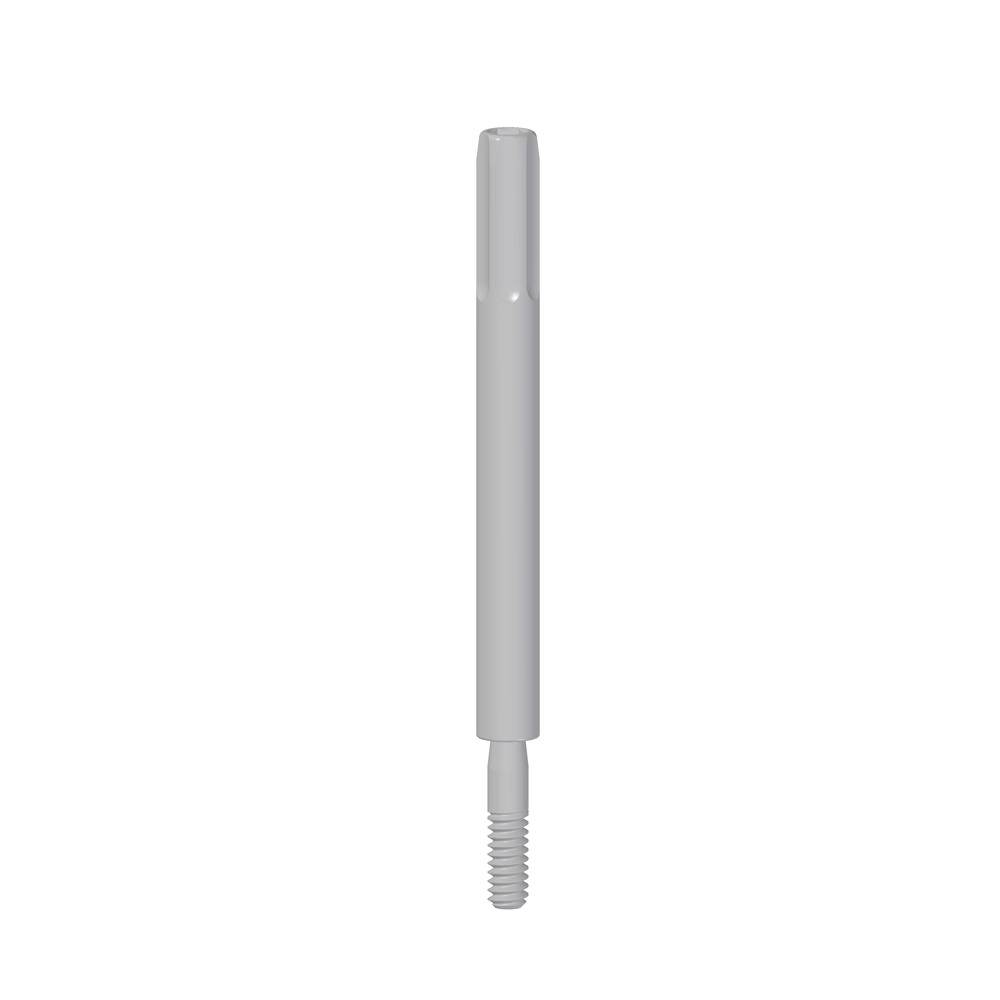Vite Transfer Pick-Up - Image 2